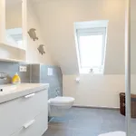 Meeresleuchten Böhl